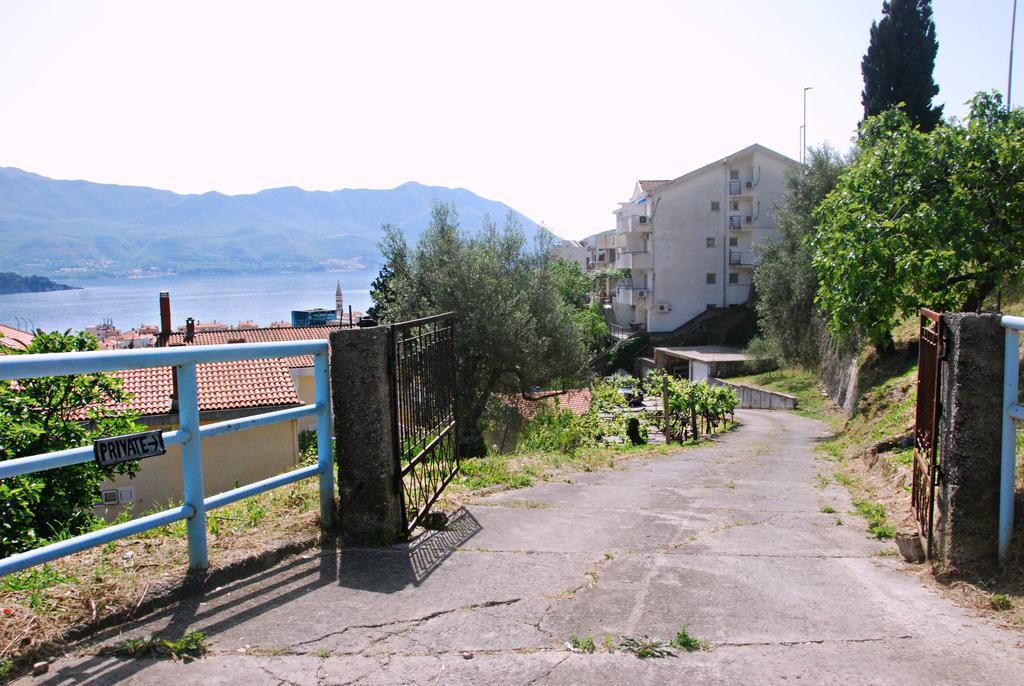 Apartament Mitrovic *