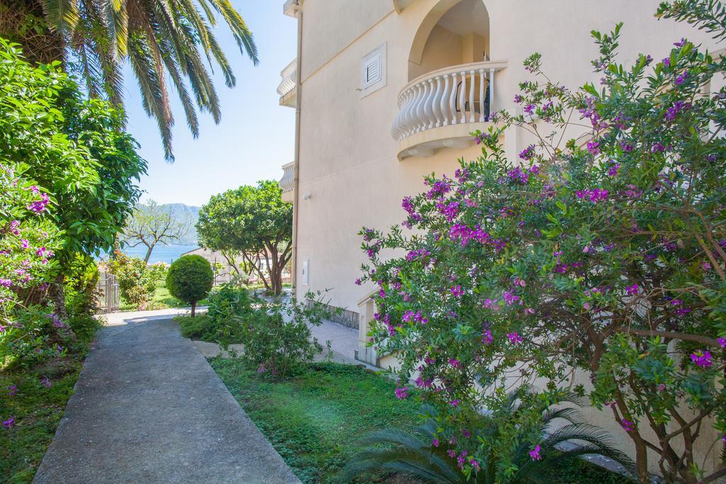 Mitrovic Apartament Budva